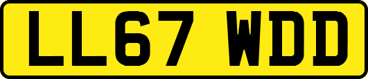 LL67WDD