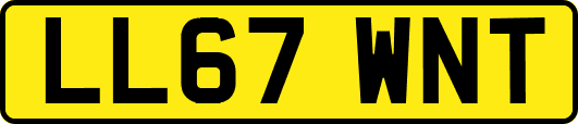LL67WNT