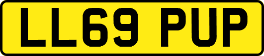 LL69PUP