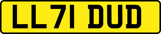 LL71DUD