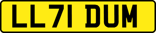 LL71DUM