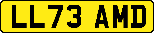LL73AMD