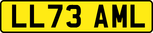 LL73AML