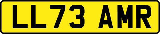 LL73AMR