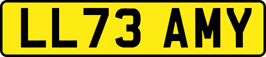 LL73AMY