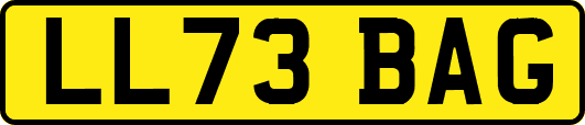 LL73BAG