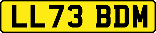 LL73BDM