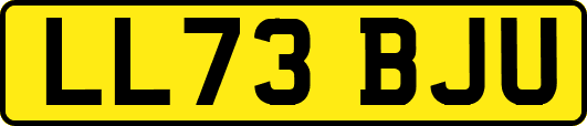 LL73BJU