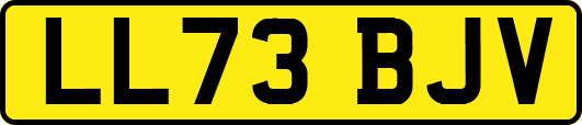 LL73BJV