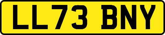 LL73BNY