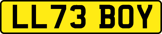 LL73BOY