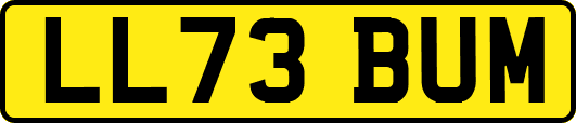LL73BUM