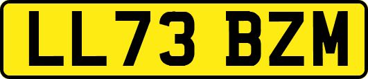 LL73BZM