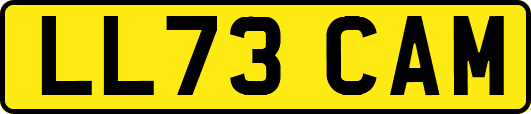 LL73CAM