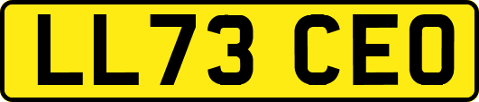 LL73CEO