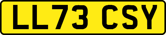 LL73CSY