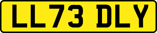 LL73DLY