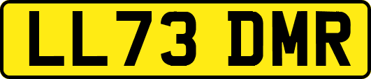 LL73DMR