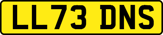 LL73DNS