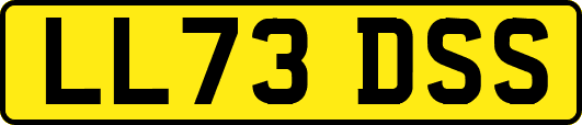 LL73DSS