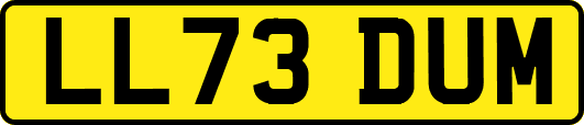 LL73DUM