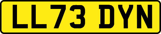 LL73DYN