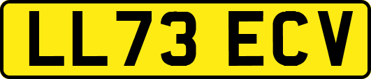 LL73ECV