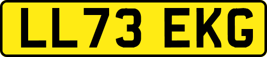 LL73EKG