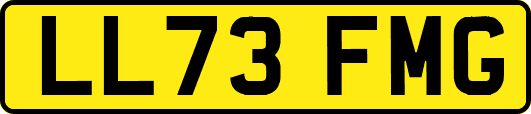 LL73FMG
