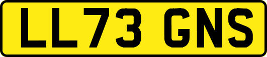 LL73GNS