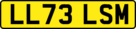 LL73LSM
