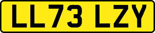 LL73LZY