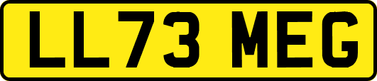 LL73MEG