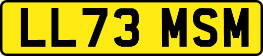 LL73MSM