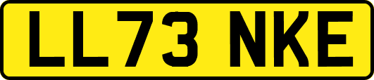 LL73NKE