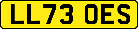 LL73OES