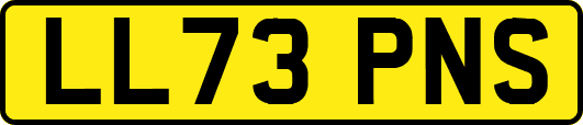 LL73PNS