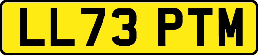 LL73PTM
