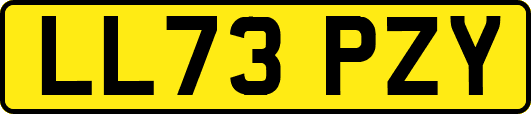 LL73PZY