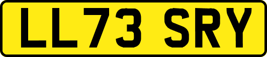 LL73SRY