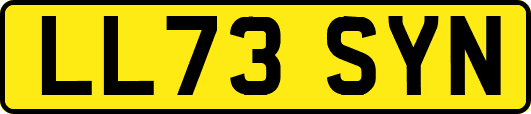 LL73SYN