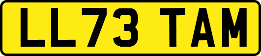 LL73TAM