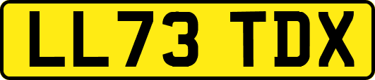 LL73TDX