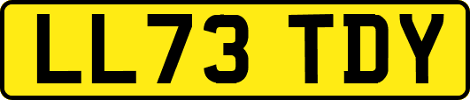 LL73TDY