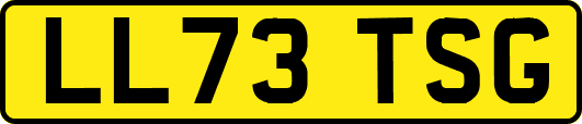 LL73TSG