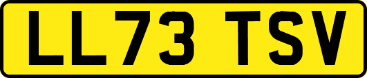 LL73TSV