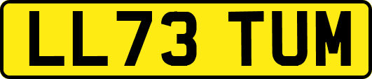 LL73TUM