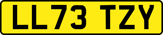 LL73TZY