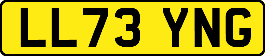 LL73YNG