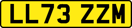 LL73ZZM